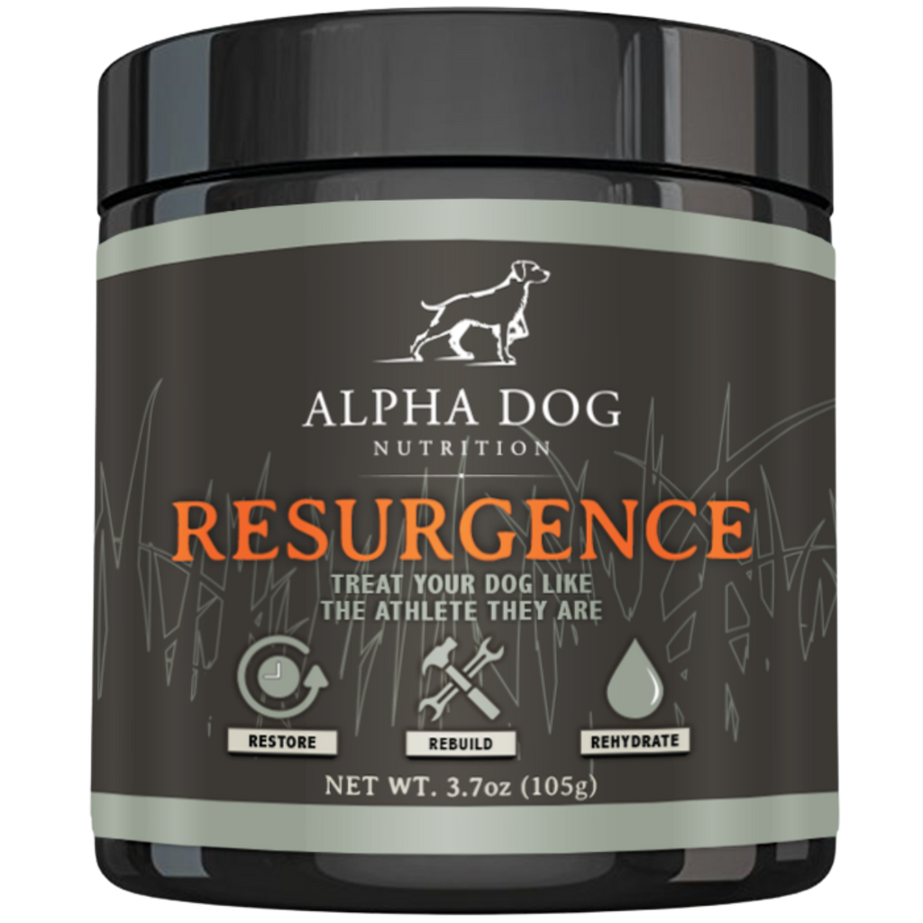 Resurgence Hydration & Recovery Supplement for Dogs